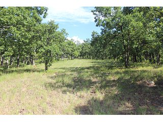 Property photo 38 - LAND AUCTION - 440+/- ACRES OFFERED IN 17 TRACTS IN OSAGE CO., OKLAHOMA